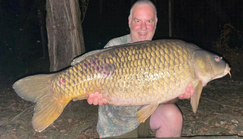 A carp from Sky Lake, Aug 2022