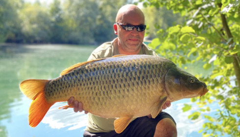 A carp from Sky Lake, Sep 2022