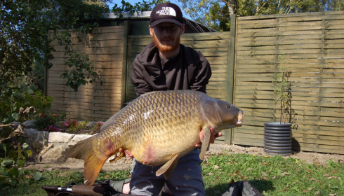 A carp from Sky Lake, Sep 2022