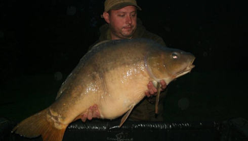 A 44 lb carp from Villefond, Bennetts on its way back up from spawning , Oct 2015