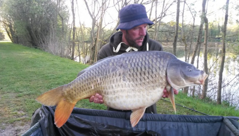 A 43 lb carp from Villefond, Scared common, Apr 2015