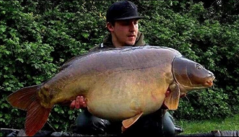 A 55 lb carp from Villefond, Apr 2019