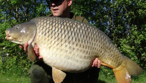 A 51 lb carp from Villefond, Little john , May 2016