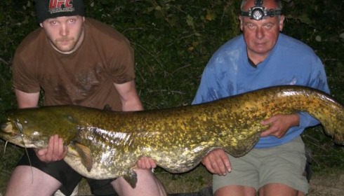 A 60 lb catfish from Villefond, Dan, Aug 2010