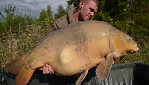 A 41 lb 6 oz carp from Villefond, Max the fish spawned out over 10lb!, Aug 2014