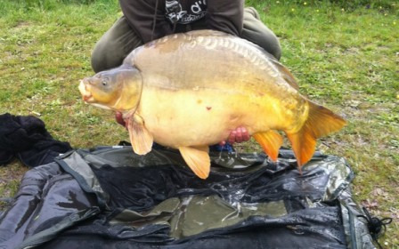 A 44 lb carp from Villefond, Apr 2012