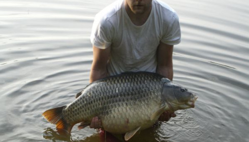 A 44 lb carp from Villefond, Arthur, Jun 2010