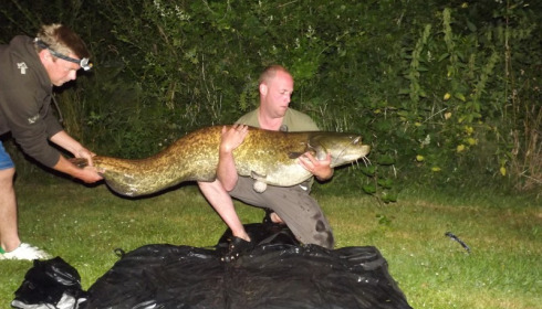 A 80 lb 4 oz carp from Villefond, Jul 2013