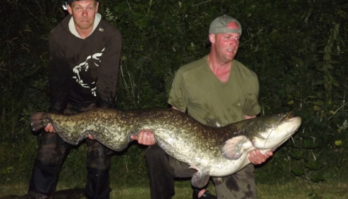 A 78 lb 8 oz catfish from Villefond, Jul 2013