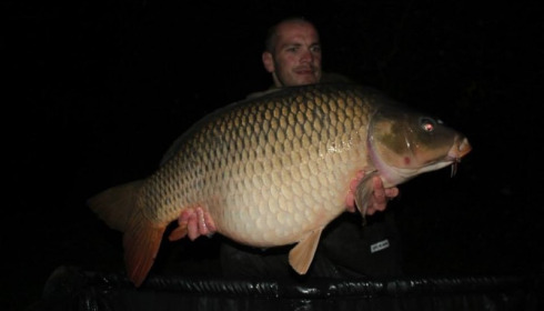 A carp from Villefond, Sep 2014