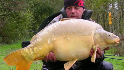 A 40 lb carp from Villefond, Nov 2012