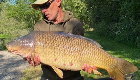 A carp from Villefond, Aug 2023