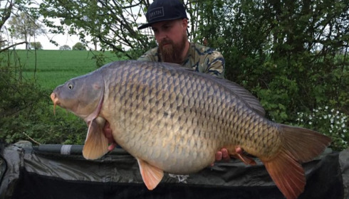 A 39 lb 10 oz carp from Villefond, fat common, Apr 2017