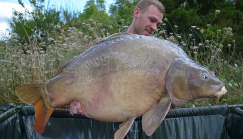 A 44 lb 9 oz carp from Villefond, Bennetts the fish heavily spawned out over 10lb!, Aug 2014