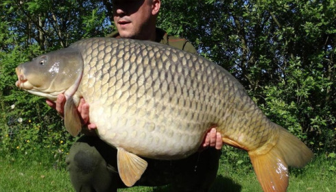 A 51 lb carp from Villefond, Lee Brown, May 2016