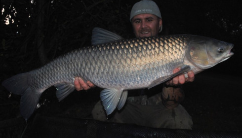 A 22 lb grass carp from Villefond, Oct 2014