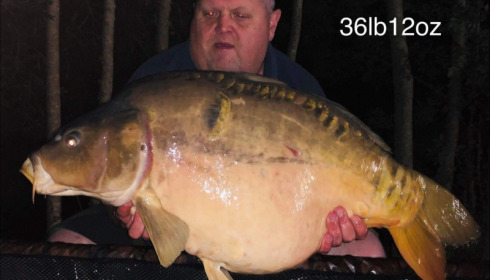 A 36 lb 12 oz carp from Villefond, Moon scale , Sep 2019