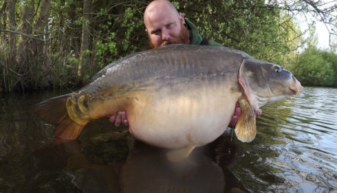 A 49 lb 3 oz carp from Villefond, single scale, Apr 2014