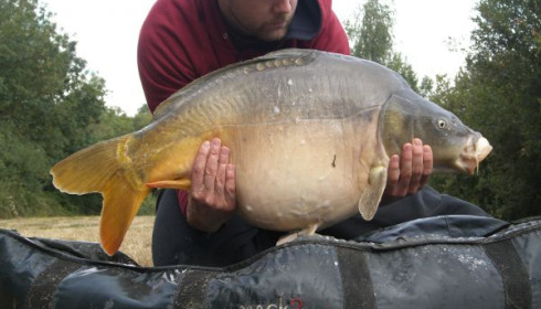 A 33 lb carp from Villefond, Aug 2010