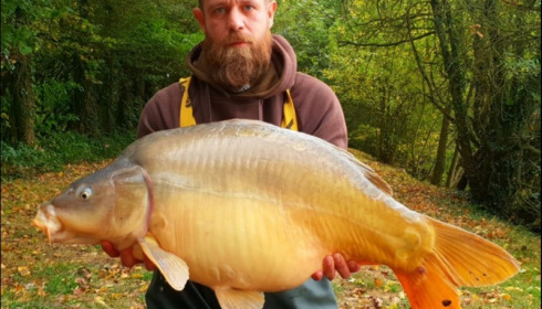 A carp from Villefond, Oct 2018
