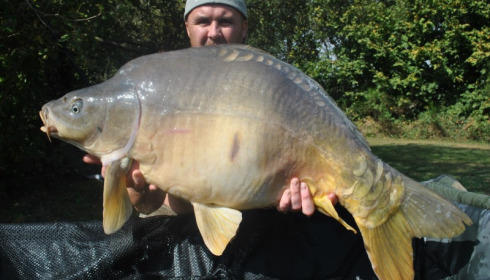 A 36 lb 2 oz carp from Villefond, Oct 2014