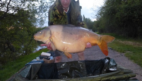 A 51 lb 5 oz carp from Villefond, The Long Two Tone first time over 50lb, Apr 2014