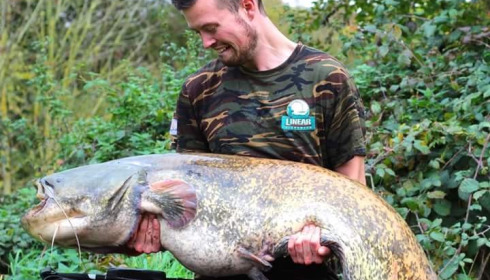 A 90 lb catfish from Villefond, Dan the cat caught on a zig, Dec 2015