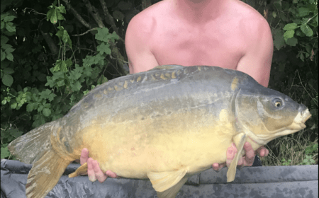 A 31 lb 3 oz carp from Villefond, Mark Scollins, Jul 2019