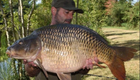 A 35 lb carp from Villefond, Sep 2018