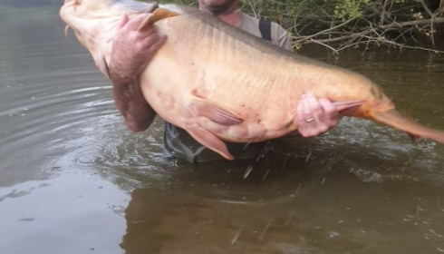 A 76 lb 4 oz carp from Villefond, Kelvyn Gear, Sep 2019