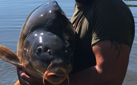 A 65 lb 5 oz carp from Villefond, Marc Brydon, Sep 2016