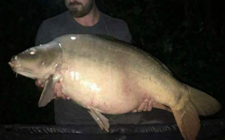 A 40 lb 2 oz carp from Villefond, Oct 2017
