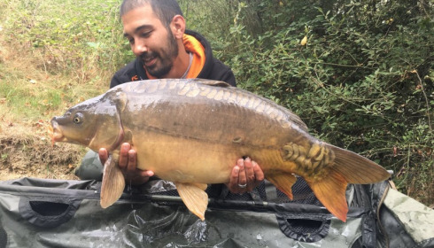 A 23 lb 6 oz carp from Villefond, Sep 2017