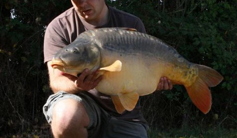 A 34 lb 6 oz carp from Villefond, Sep 2010