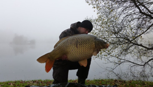 A 35 lb 12 oz carp from Villefond, Mark Lambert , Dec 2012