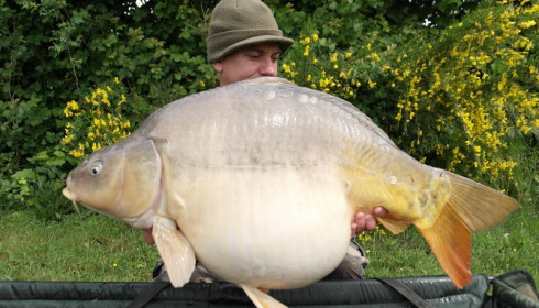 A 44 lb 8 oz carp from Villefond, May 2014
