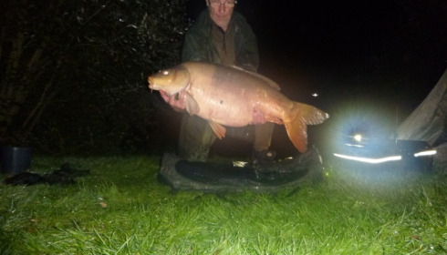 A 46 lb carp from Villefond, The long two tone fish putting the wieght back on, Oct 2013