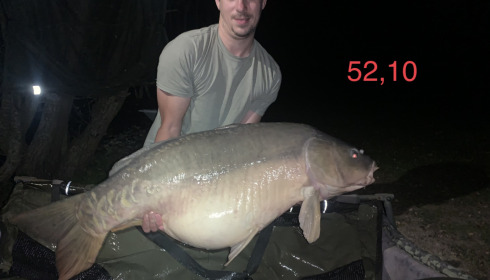 A carp from Villefond, Ian Rogers, Nov 2022