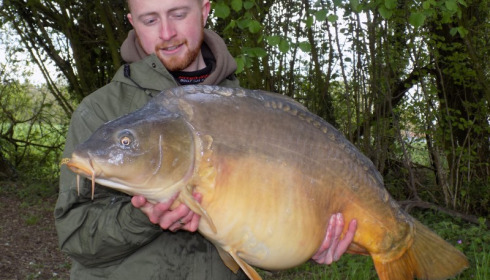 A 41 lb 10 oz carp from Villefond, Nemo the fish, May 2016