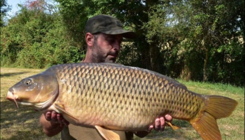 A 29 lb 5 oz carp from Villefond, Sep 2018