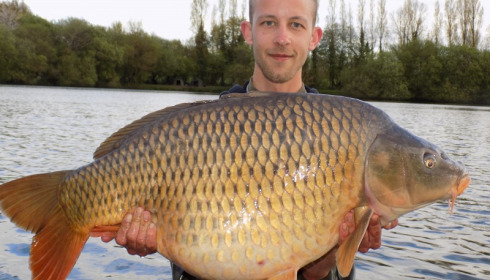 A 40 lb carp from Villefond, fat common, May 2016