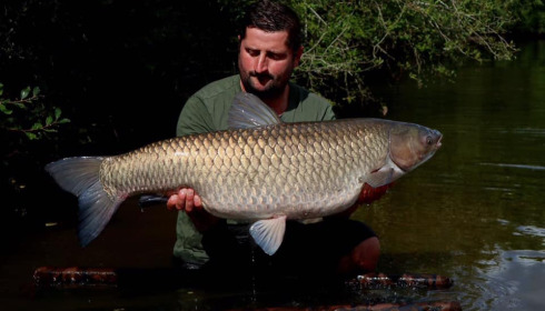 A 44 lb grass carp from Villefond, Sep 2022