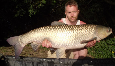 A 25 lb grass carp from Villefond, Aug 2015