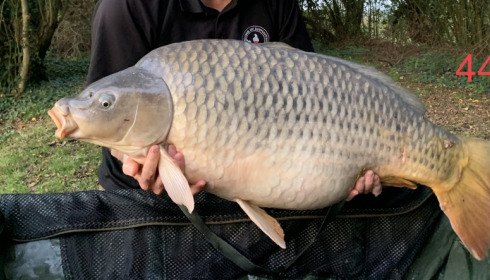 A 44 lb carp from Villefond, Paul Dibden, Nov 2022