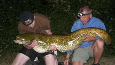 A 60 lb catfish from Villefond, Dan, Aug 2010