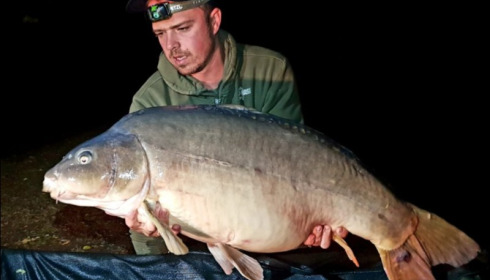 A carp from Villefond, Oct 2018