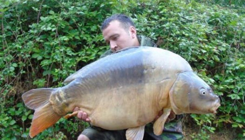 A 41 lb 4 oz carp from Villefond, Son of Max the fish, Oct 2016