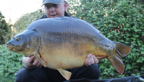 A carp from Villefond, Apr 2017
