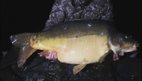 A 76 lb carp from Villefond, Mark lambert with Arnold, Mar 2019