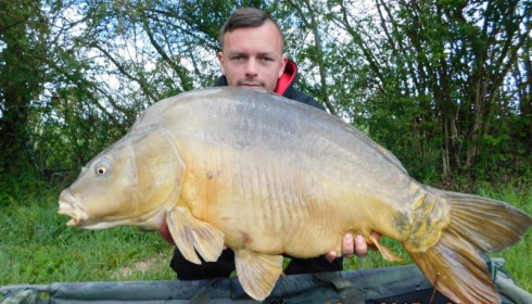 A carp from Villefond, Son of Max after a massive spawn, Apr 2017